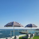 니도(Nido) 이미지