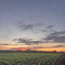 스페이스 게스트하우스 | 우도 게스트 하우스 스페이스01 UDO SPACE 01