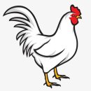 닭으로 이미지