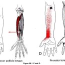 고덕패밀리한의원 이미지