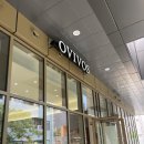 오비보스(OVIVOS) 이미지