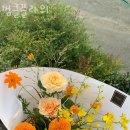 범클플라워 - 광산구 장신로266번길 5 | 범클플라워