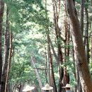 정주운수 이미지