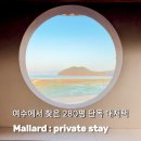 여수 풀빌라 맬러드 룸컨디션 수영장 후기 모임 숙소 추천