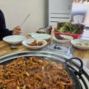 김여사네대패불