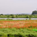 영산포한우