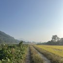 영리경로당 이미지