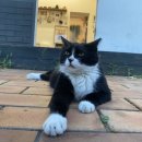 백악관여관 이미지