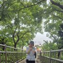 하프타임양산반도3차점 | 영도흰여울길 18탄 - 화장실위치 카페정리 포토존위치 길설명