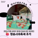 청송문화원 | 청송의 대표 가을축제 — 제19회 청송사과축제 후기 🍎