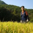 구슬비 공원 이미지