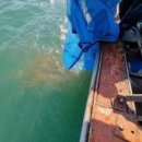 보리수산 이미지