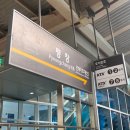 두성목장 | 가면 넘 재밌는 코스 비용 정리 (밀브릿지/삼양목장/마운틴코스터/와우대관령한우/감자창고/진태원...