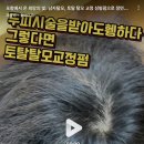 가야솔루션