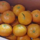 거운농장 이미지