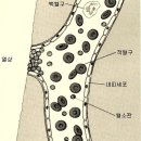 혈액암 투병 구백스물일곱(927) 번째 날 편지, 1 (안부, 소식) - 2023년 3월 22일 수요일 이미지