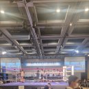 뉴챔프복싱 이미지