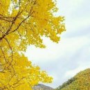 행복양국 이미지