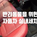 직물소재변형 | 광주 자동차 꼼꼼 실내세차 강아지털 제거기