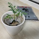 동내태권도장 이미지