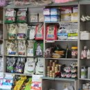 영국동물병원 이미지