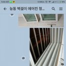 로이프 | 한글 꽃피다, 믿음 꽃피다 전문 이사청소의 가치