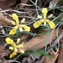 연인산풍경 이미지