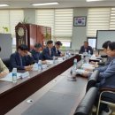 한국인삼총