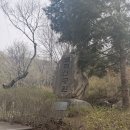 광명등산 | 주말 광명 가볼만한곳 도덕산 등산 후기! 주차 전쟁 피하는 법 & 아찔한 출렁다리 체험기