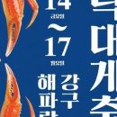 영덕대게 이미지