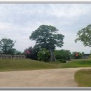 무장읍성 이미지