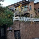 분당-259 이미지