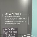 캣츠앤미 이미지