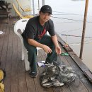 어마무시 이미지