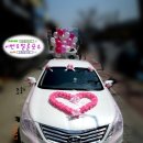 이벤트벌룬포유 이미지