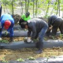 안성시시설관리공단 노동조합 이미지