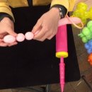 요술강아지 이미지