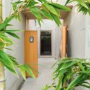 스테이 니와 이미지