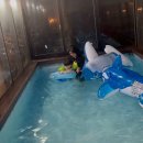 무주펜션 구름채 풀빌라 이미지