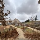 파머스빌리지 스파 | 상하농원 파머스빌리지 스파이용하고 힐링한 후기