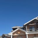 쁘띠 애견 | 제천 애견동반카페 추천 신월동 쁘띠샹들리에