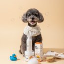 정글스토어 | 강아지 얼굴 씻기기 힘들었죠? 정글몬스터 페이스 폼 클렌저 솔직 후기