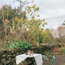 비앤비스테이 이미지