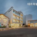 네르하쏠 이미지