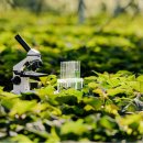 신성상사 이미지