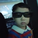 프린스안경 | [공지] 고성 공룡 세계 엑스포, 방문 꿀팁,오픈런해서 밤 10시까지 다녀온 후기 ,퍼레이드 추천 자리