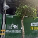 치킨1호