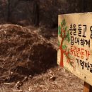 박차정 의사 동상 이미지