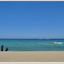 청춘바다 이미지