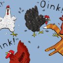 clean&farm 이미지